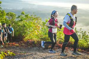 BIB: 
                            <button type="button" onclick="openModal(21876955)" class="btn btn-primary btn-sm float-right btn-popup" data-toggle="modal" data-target=".modal-high-quality">
                        <i class="fas fa-shopping-cart"></i> Add to Cart
                    </button>
                                            <button type="button" onclick="isThisMe(21876955, true)" class="btn btn-success btn-sm float-right btn-popup btn-isme hidden" data-toggle="tooltip" data-placement="bottom" title="นี่คือรูปของคุณใช่ไหม คลิกที่นี่เพื่อเอาเข้าอัลบั้ม">
                        <i class="fas fa-plus"></i> Add to album
                    </button>
                    <button type="button" onclick="isThisMe(21876955, false)" class="btn btn-warning btn-sm float-right btn-popup btn-isnotme hidden">
                        <i class="fas fa-ban"></i> Remove from album
                    </button>